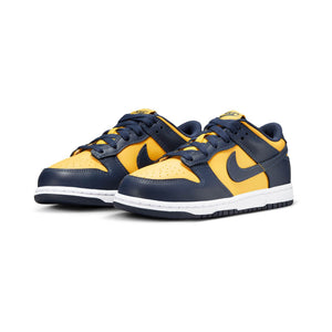 Nike Dunk Low Little Kids' Shoes