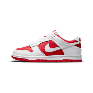 Nike Dunk Low Big Kids' Shoes
