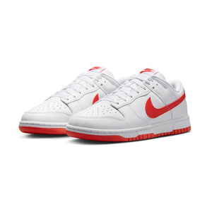 Nike Dunk Low Retro Men's Shoes