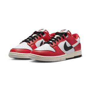 Nike Dunk Low Retro Premium Men's Shoes