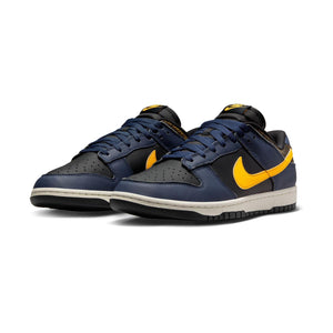Nike Dunk Low Retro Men's Shoes