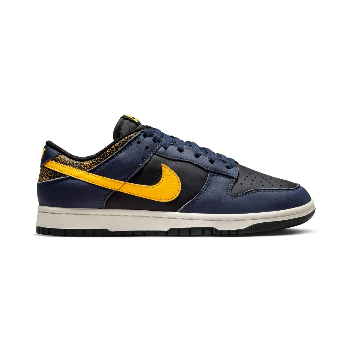 Nike Dunk Low Retro Men's Shoes -