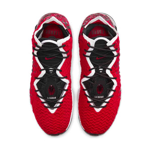 Men's LeBron 17
