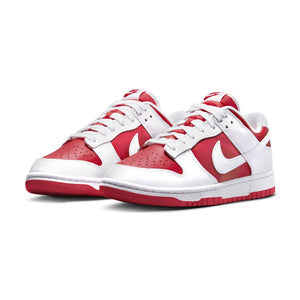Nike Dunk Low Retro Men's Shoes