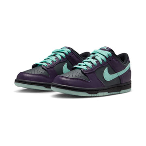 Nike Dunk Low 'Artisan Teal Grand Purple' Big Kids' Shoes