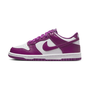 Nike Dunk Low 'Viotech' Big Kids' Shoes