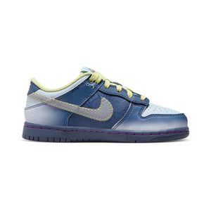 Nike Dunk Low Little Kids' Shoes