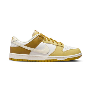 Nike Dunk Low Retro Men's Shoes