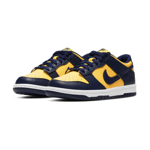 Nike Dunk Low Big Kids' Shoes