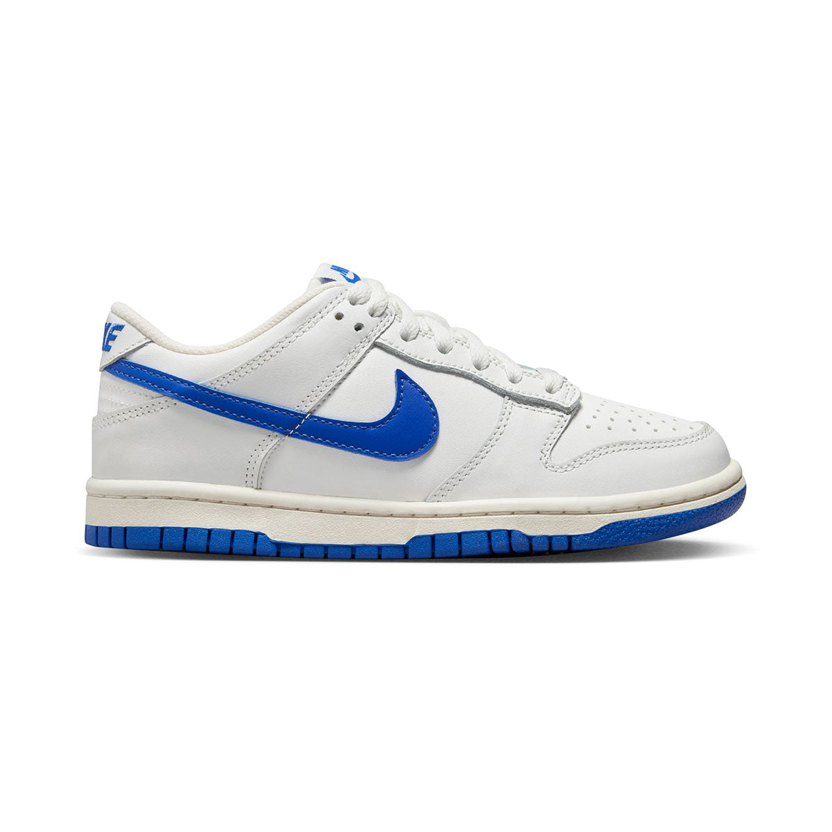Nike Dunk Low Big Kids' Shoes