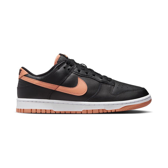 Nike Dunk Low Retro Men's Shoes