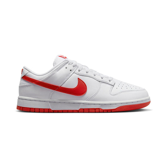Nike Dunk Low Retro Men's Shoes