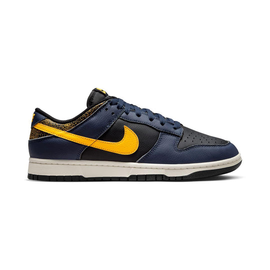 Nike Dunk Low Retro Men's Shoes