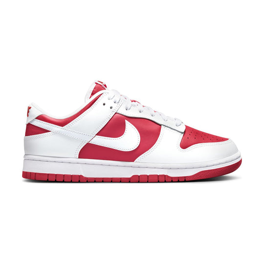 Nike Dunk Low Retro Men's Shoes