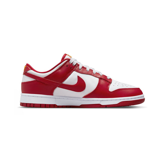 Nike Dunk Low Retro Men's Shoes