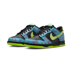 Nike Dunk Low SE Big Kids' Shoes