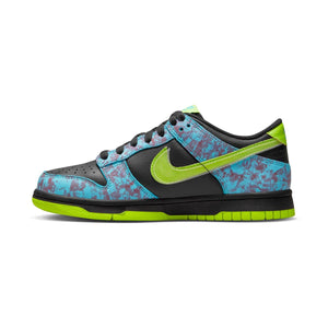 Nike Dunk Low SE Big Kids' Shoes